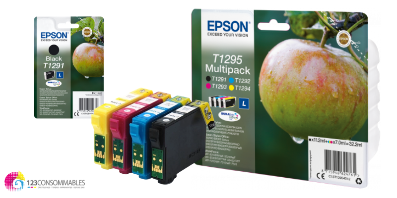 CARTOUCHES JET D'ENCRE POUR EPSON